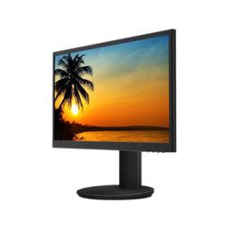 Planar PLL2251MW 21.5" 1920 x 1080 60 Hz Monitor