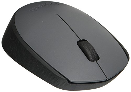 Logitech M170 Wireless Optical Mouse