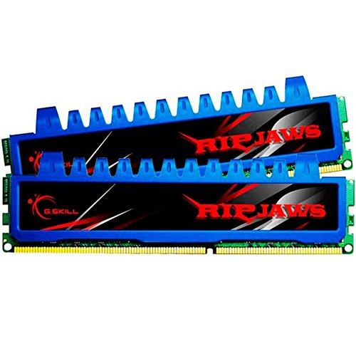 G.Skill Ripjaws 4 GB (2 x 2 GB) DDR3-2000 CL9 Memory