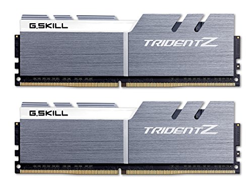 G.Skill Trident Z 16 GB (2 x 8 GB) DDR4-3200 CL16 Memory