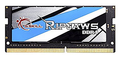 G.Skill Ripjaws 8 GB (1 x 8 GB) DDR4-2666 SODIMM CL18 Memory