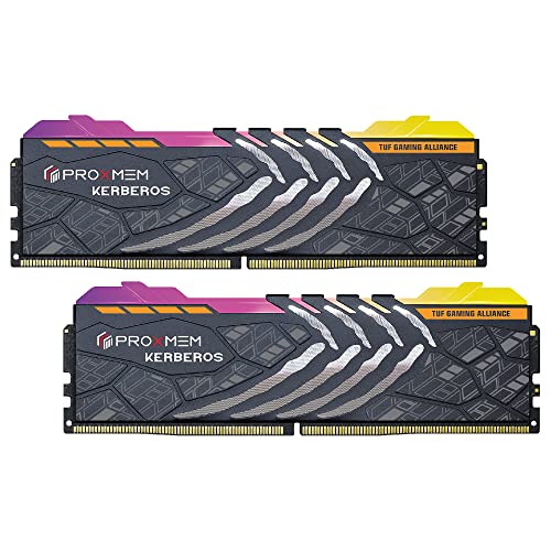 PROXMEM KERBEROS TUF 32 GB (2 x 16 GB) DDR5-6400 CL32 Memory