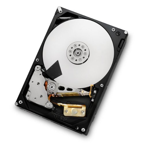 Hitachi Ultrastar 7K3000 3 TB 3.5" 7200 RPM Internal Hard Drive